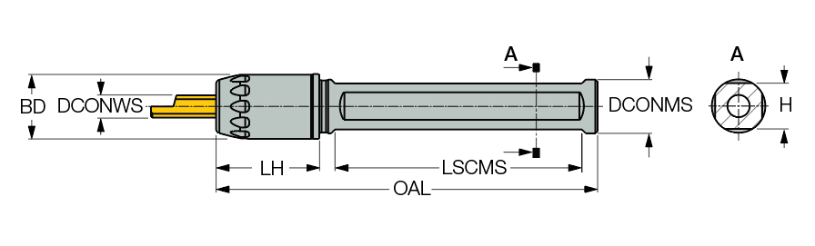 ‎PICCO ACE 25-6